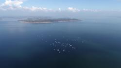 DJI 0139
