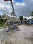 IMG 5958